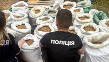 На Рівненщині виявили підпільний цех: вилучено бурштин на мільйони