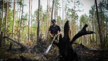 Пожежу в Чернобильській зоні ліквідовано