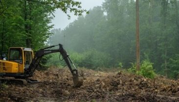 На Волині розпочнеться ексгумація останків польських воїнів