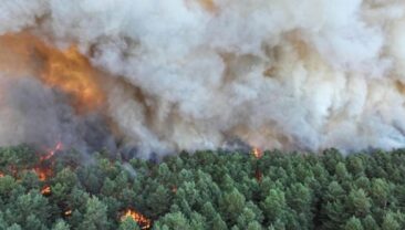 Лісний пожежа під Парижем викликав евакуацію тисяч людей