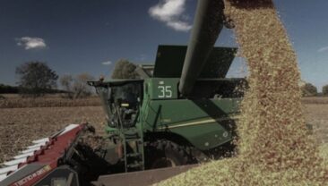 Уборочная кампанія в Росії 2026 року під загрозою через дефіцит дизельного пального