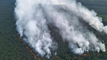Лісовий пожежа в національному парку Мюриц ускладнена вибухами боєприпасів