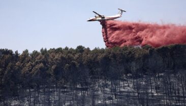 Лісові пожежі у Франції: вже вигоріло 40 000 гектарів
