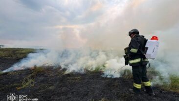 Пожежа у Славянську загрожує приватним будинкам через сильний вітер