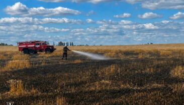 В Житомирській області внаслідок атаки агресора вигоріло пшеничне поле