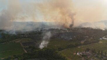Евакуація на капферрському півострові через лісовий пожар