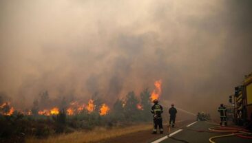 Франція: Макрон скликає кризове засідання через лісові пожежі