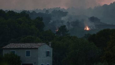 Лісові пожежі у Франції: десятки нових загорянь щодня