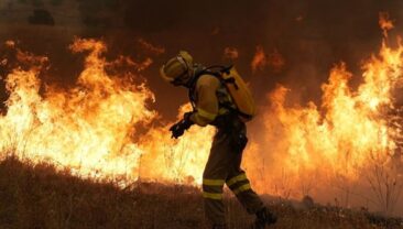 Лесные пожары угрожают Мадриду и затрагивают юг Европы