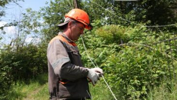 Споживання електроенергії в Україні зменшилося на 11%