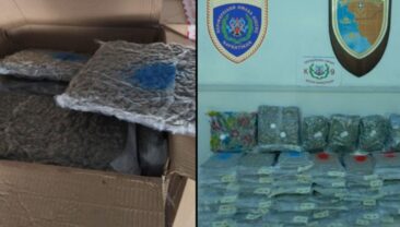 Греція: затримано 90 кг наркотиків з Італії