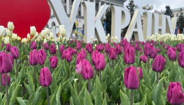 В Україні перевірили понад 99% назв вулиць у новому реєстрі адрес