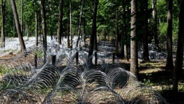 Білорусь формує нові військові батальйони біля українського кордону