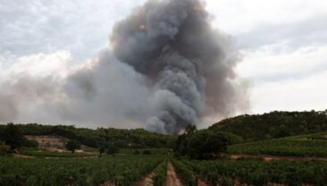 У Франції затримали 375 осіб, підозрюваних у лісових пожежах