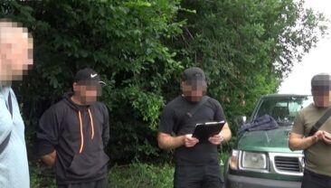 Оборона рідної землі: незаконна вирубка лісів у Медоборах