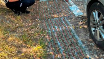 У Житомирській області затримали військовослужбовця за збут боєприпасів