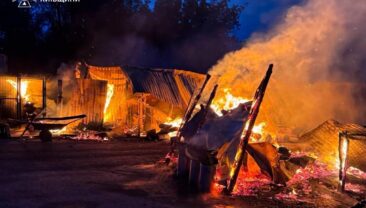 В Київській області спалахнула пожежа в притулку для тварин