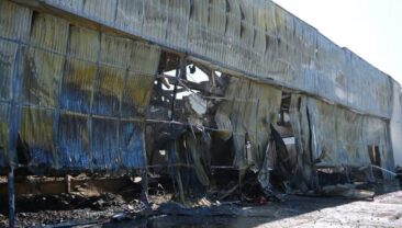 Окупанти вдарили по німецькому підприємству на Житомирщині: українці продовжують боротьбу