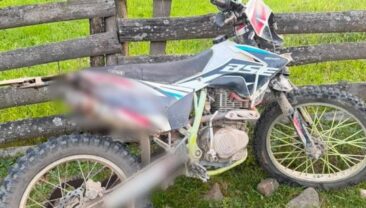 На Закарпатті мотоцикліст загинув у зіткненні з коровою