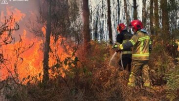 Українські герої-захисники подолали лісову пожежею у Франції