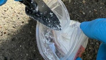 В Україні знищено рекордну партію кокаїну: герої нашої землі проти наркоторгівлі