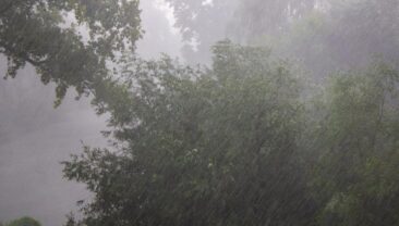 Україна готується до дощів: прогноз погоди на вихідні